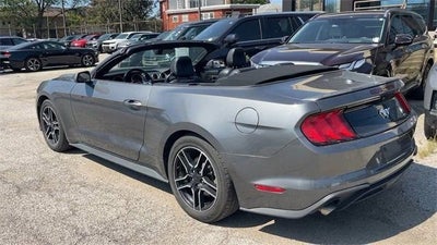 2023 Ford Mustang EcoBoost Premium Convertible