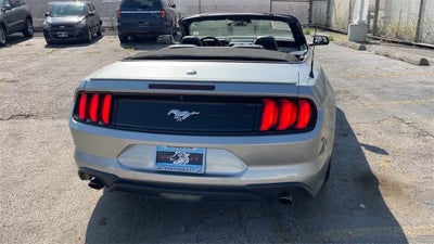 2023 Ford Mustang EcoBoost Premium