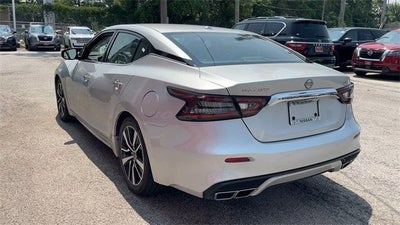 2023 Nissan Maxima SV