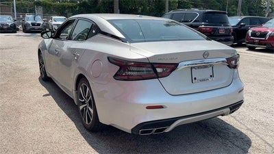 2023 Nissan Maxima SV