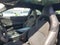 2024 Dodge Charger R/T Scat Pack
