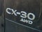 2025 Mazda Mazda CX-30 2.5 S Premium Package