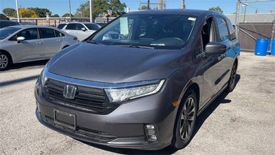 2024 Honda Odyssey EX-L