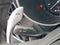 2024 Alfa Romeo Stelvio Sprint